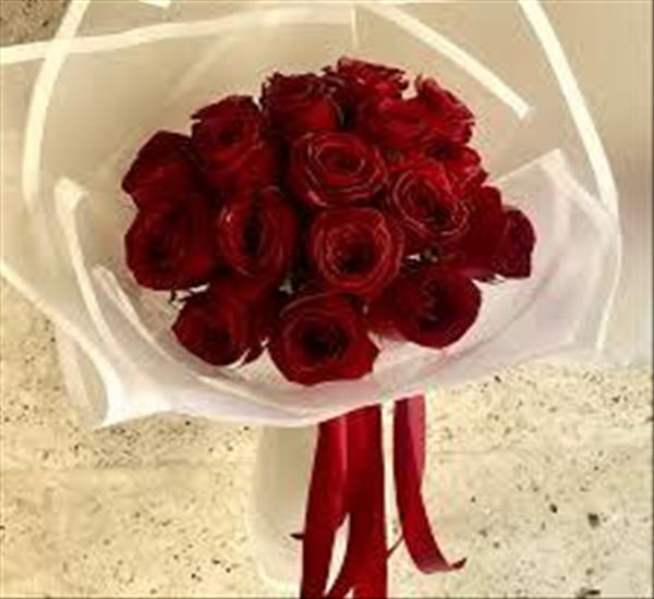 تبریک آغاز سال تحصیلی جدید